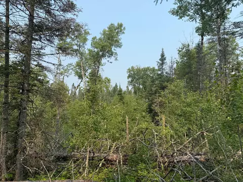tbd Virginia Ely Rd, Babbitt, MN 55706 photo 22