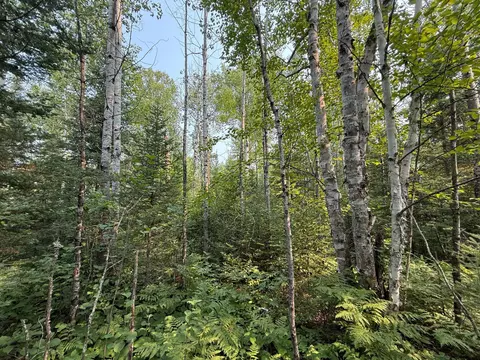 tbd Virginia Ely Rd, Babbitt, MN 55706 photo 17