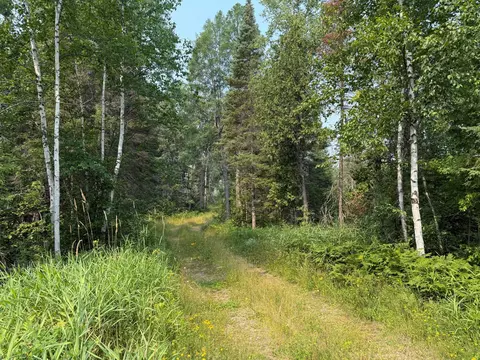 tbd Virginia Ely Rd, Babbitt, MN 55706 photo 8