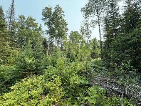 tbd Virginia Ely Rd, Babbitt, MN 55706 photo 23