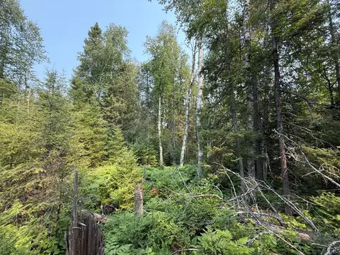 tbd Virginia Ely Rd, Babbitt, MN 55706 photo 28