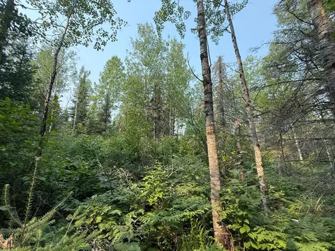 tbd Virginia Ely Rd, Babbitt, MN 55706 photo 20