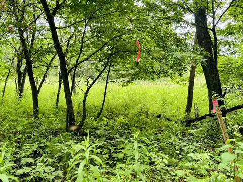 Nnn Held Circle, Cold Spring, MN 56320 photo 12
