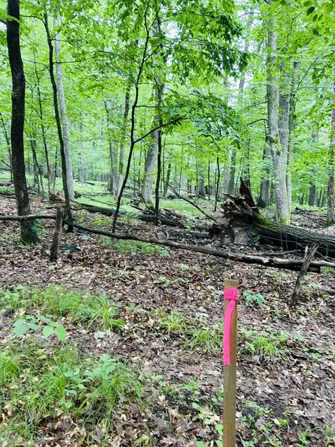 Nnn Held Circle, Cold Spring, MN 56320 photo 11