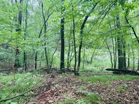 Nnn Held Circle, Cold Spring, MN 56320 photo 14