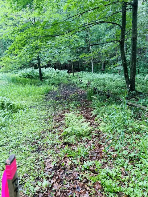 Nnn Held Circle, Cold Spring, MN 56320 photo 10