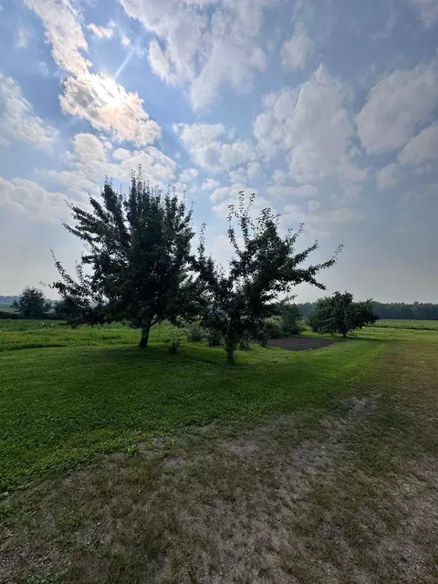 Exterior - 8393 165th St, Milaca, MN 56353 photo 5 of 5