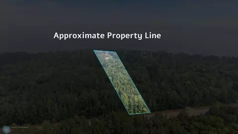 View/Area - 46130 E Nest Rd, Deer River, MN 56636 photo 7 of 8
