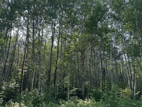 80 Acres Willow Creek Rd NE, Kelliher, MN 56650