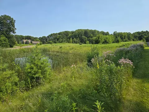 Nnnnn 244th Road, Franconia Twp, MN 55073