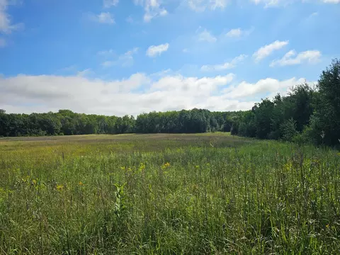 Parcel 1 Hwy 87, Backus, MN 56435 photo 6