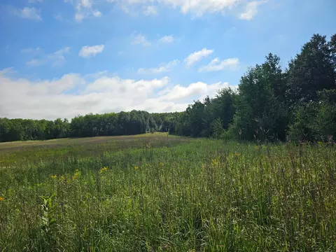 Parcel 1 Hwy 87, Backus, MN 56435 photo 7