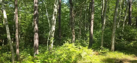 lot13 Lot 13 Hide-a-way Trl, Webb Lake, WI 54830