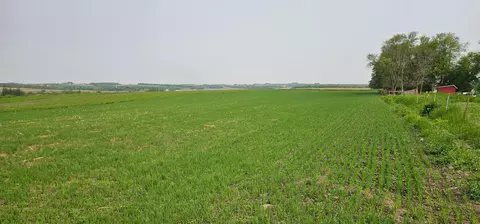 tbd 351st Ave, Amherst Twp, MN 55939
