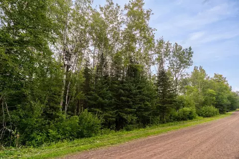 Nn Torma Road, Esko, MN 55733