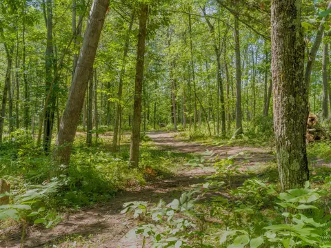Other - 32003 Nuthatch Ave, Aitkin, MN 56431 photo 11 of 12