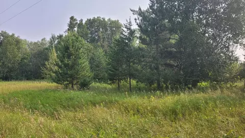 tbd 16th St SW, Backus, MN 56435