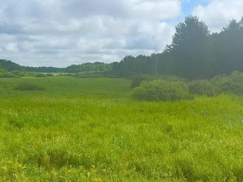 000 370th Ave, Richardson Twp, MN 56338