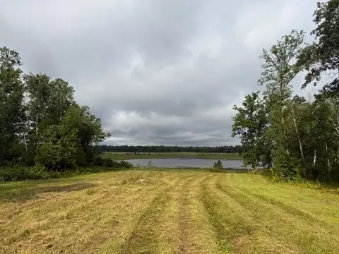 45021 County 3, Becida, MN 56678 photo 50