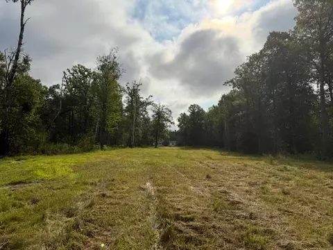 45021 County 3, Becida, MN 56678 photo 49