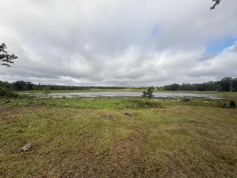 45021 County 3, Becida, MN 56678 photo 46