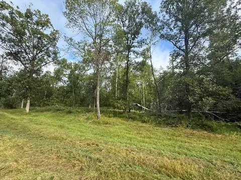 45021 County 3, Becida, MN 56678 photo 41