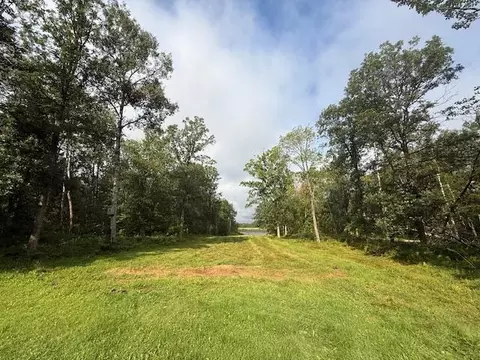 45021 County 3, Becida, MN 56678 photo 40