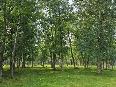 tbd State 87 SW, Backus, MN 56435 photo 4