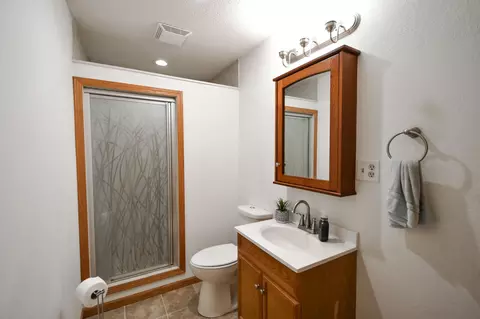 Bath - 437 3rd Ave, Wanamingo, MN 55983 photo 3 of 3