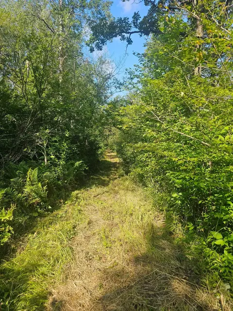 000 Highway 65, Mcgrath, MN 56342 photo 5