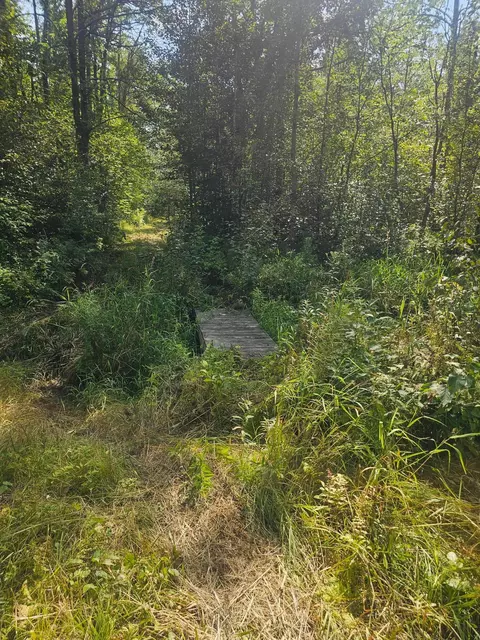 000 Highway 65, Mcgrath, MN 56342 photo 3