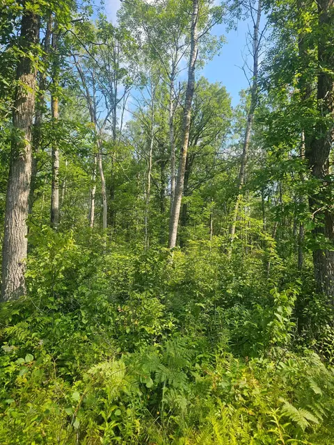 000 Highway 65, Mcgrath, MN 56342 photo 8