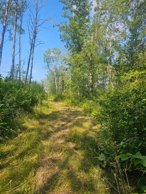 000 Highway 65, Mcgrath, MN 56342 photo 6