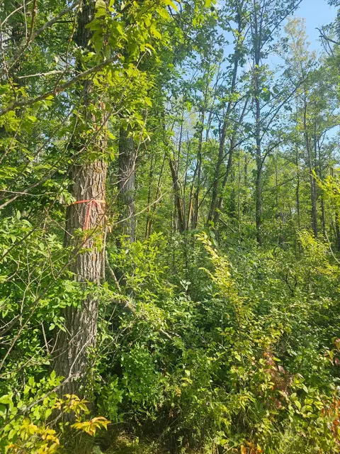 000 Highway 65, Mcgrath, MN 56342 photo 7