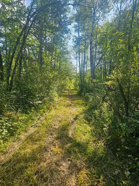 000 Highway 65, Mcgrath, MN 56342 photo 4