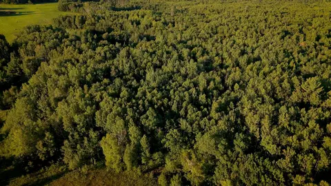 47974 S Us 71, Helga Twp, MN 56461 photo 15