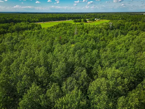 47974 S Us 71, Helga Twp, MN 56461 photo 18