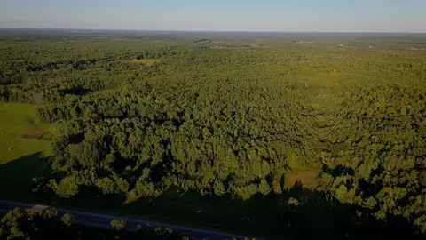 47974 S Us 71, Helga Twp, MN 56461 photo 21