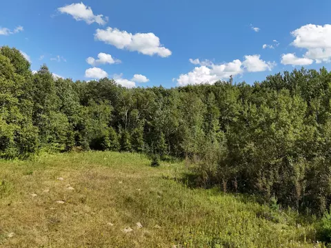 47974 S Us 71, Helga Twp, MN 56461 photo 17