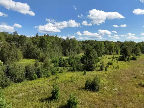 47974 S Us 71, Helga Twp, MN 56461 photo 16