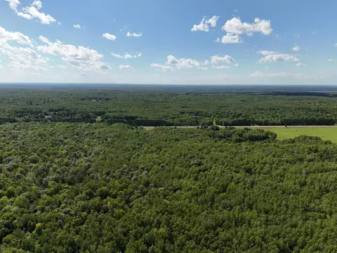 47974 S Us 71, Helga Twp, MN 56461 photo 3