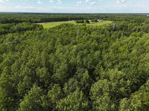 47974 S Us 71, Helga Twp, MN 56461 photo 12