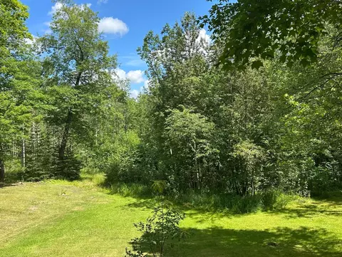 11813 Moen Rd, Wright, MN 55798 photo 28