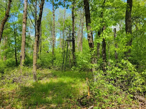 tbd 510 Ave, Henning Twp, MN 56551
