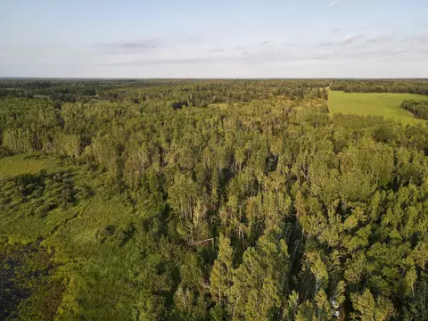 15 Nnn 500th St, Becida, MN 56678 photo 16