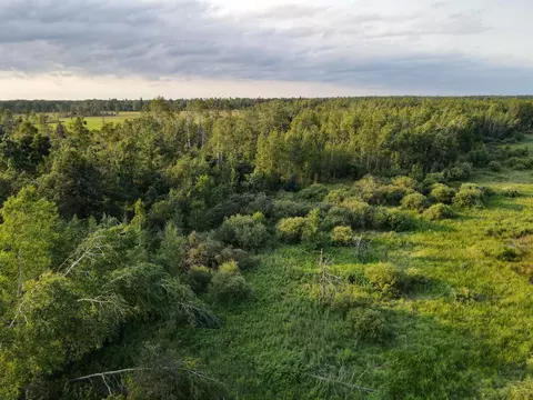 15 Nnn 500th St, Becida, MN 56678 photo 15