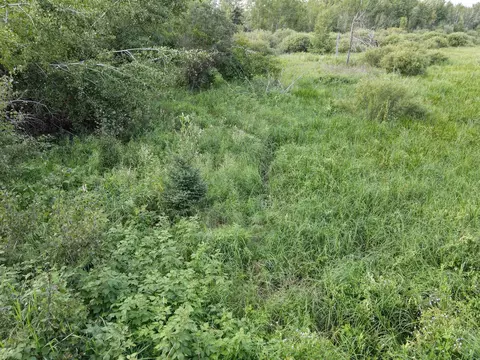 15 Nnn 500th St, Becida, MN 56678 photo 10