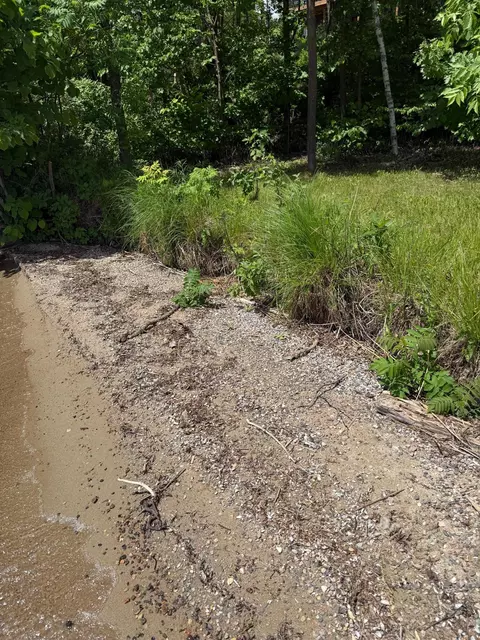Other - 7933 Templer Point Dr NW, Walker, MN 56484 photo 32 of 32