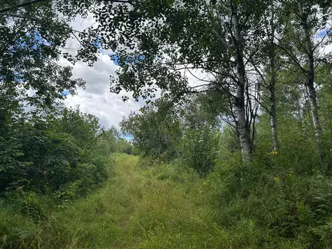 tbd Duncan Rd, Sandstone, MN 55072