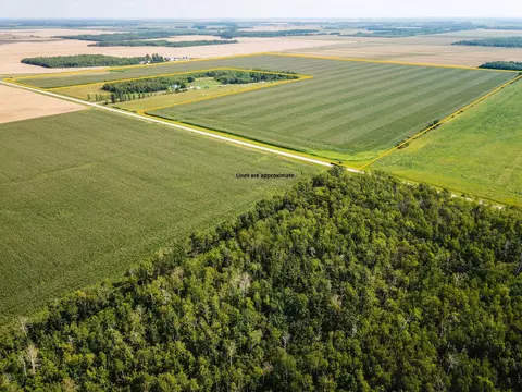tbd 330th Ave, Stokes Twp, MN 56714